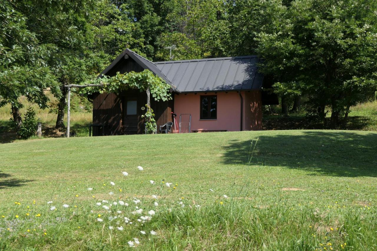 Agriturismo Braccicorti Pieve Fosciana Bagian luar foto