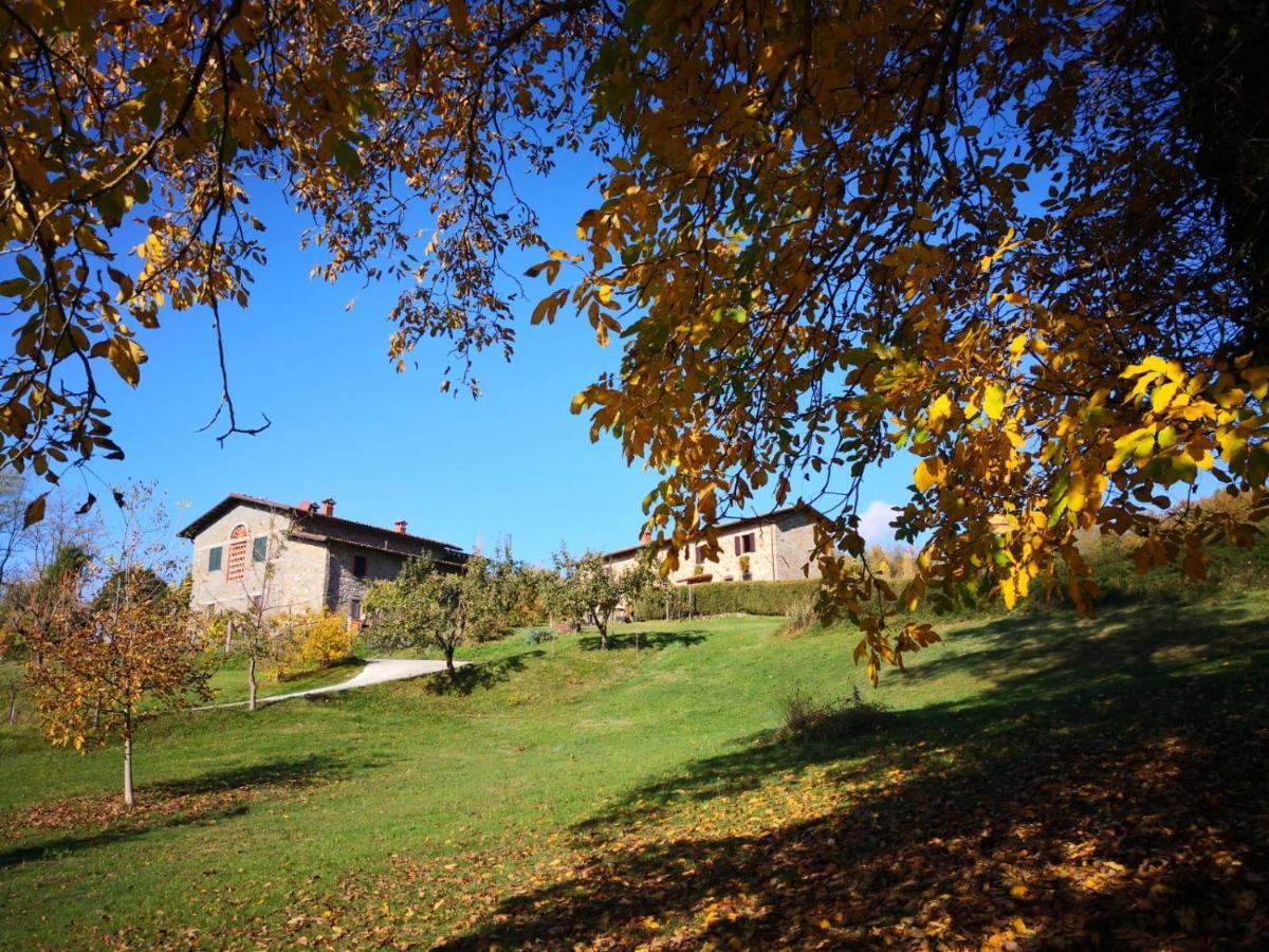Agriturismo Braccicorti Pieve Fosciana Bagian luar foto
