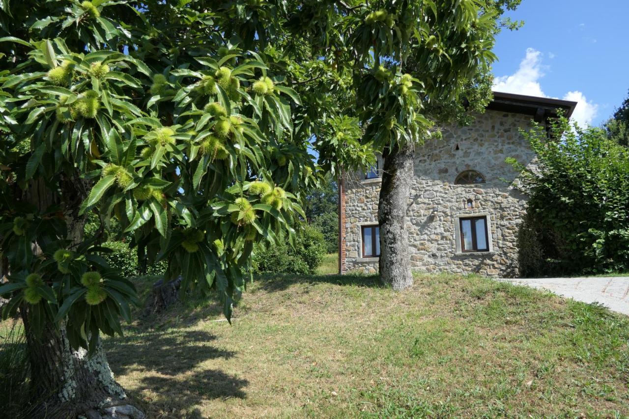 Agriturismo Braccicorti Pieve Fosciana Bagian luar foto