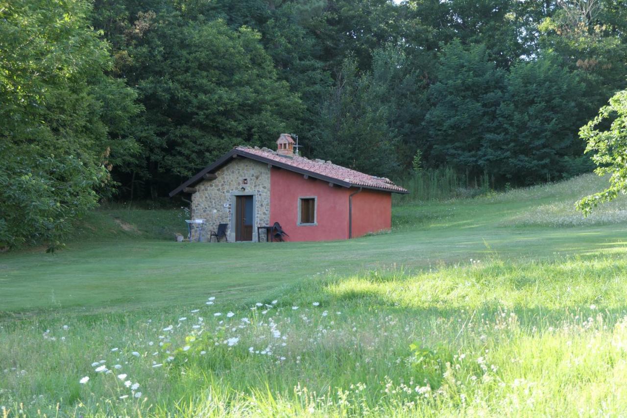 Agriturismo Braccicorti Pieve Fosciana Bagian luar foto