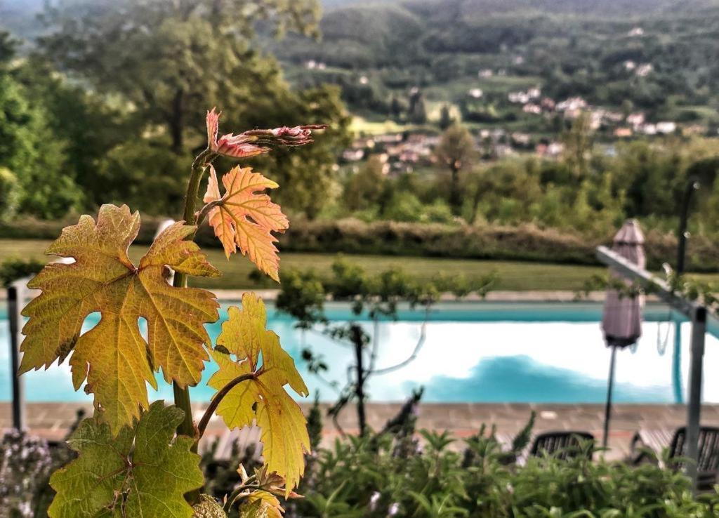 Agriturismo Braccicorti Pieve Fosciana Bagian luar foto