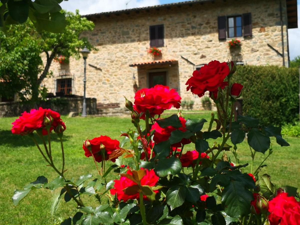 Agriturismo Braccicorti Pieve Fosciana Bagian luar foto