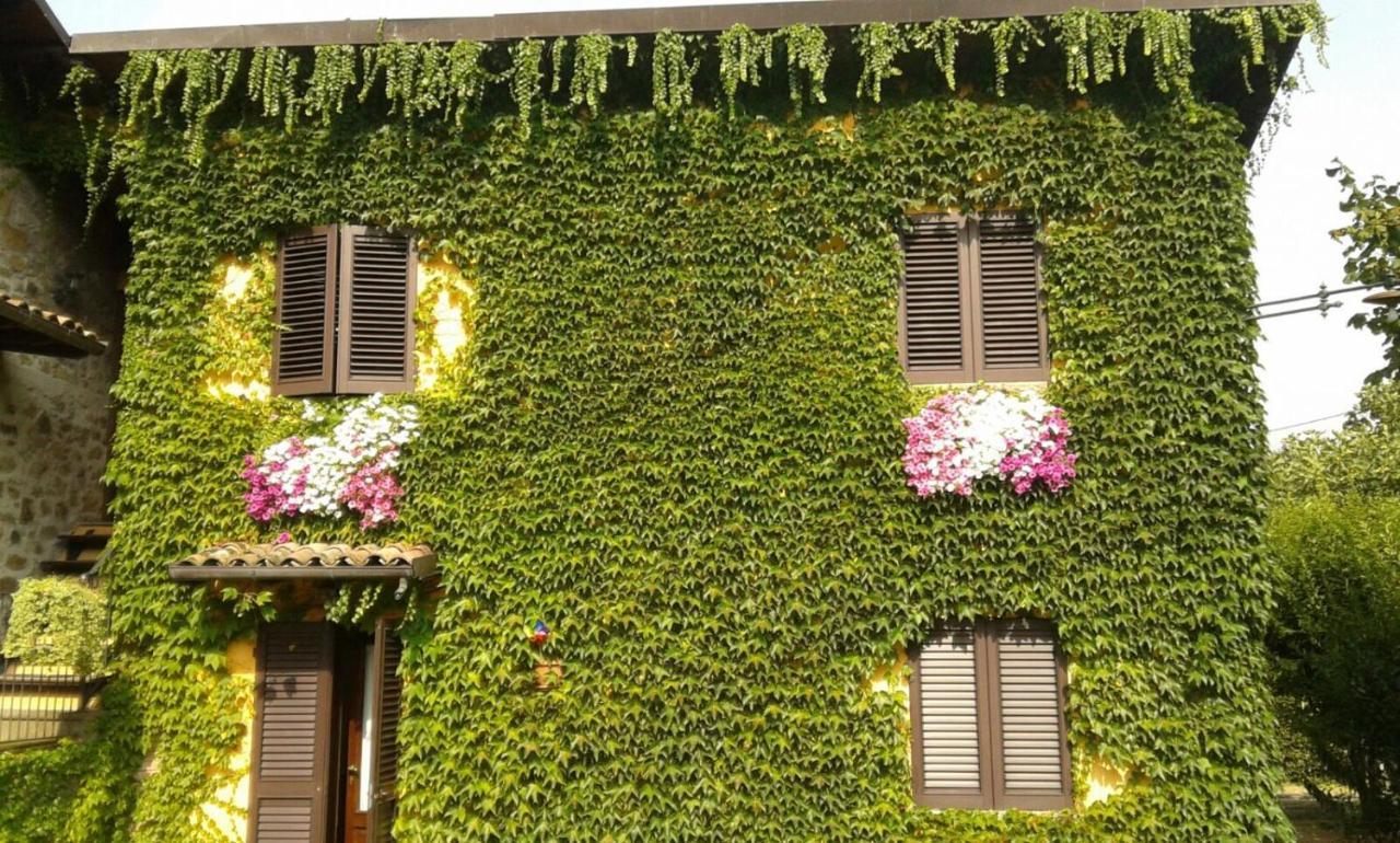 Agriturismo Braccicorti Pieve Fosciana Bagian luar foto