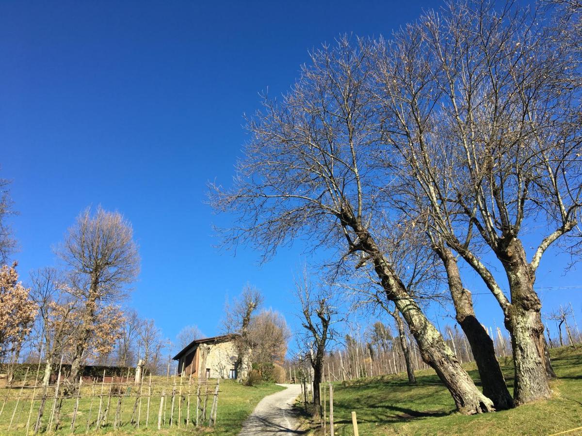Agriturismo Braccicorti Pieve Fosciana Bagian luar foto